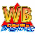 MY LOGO